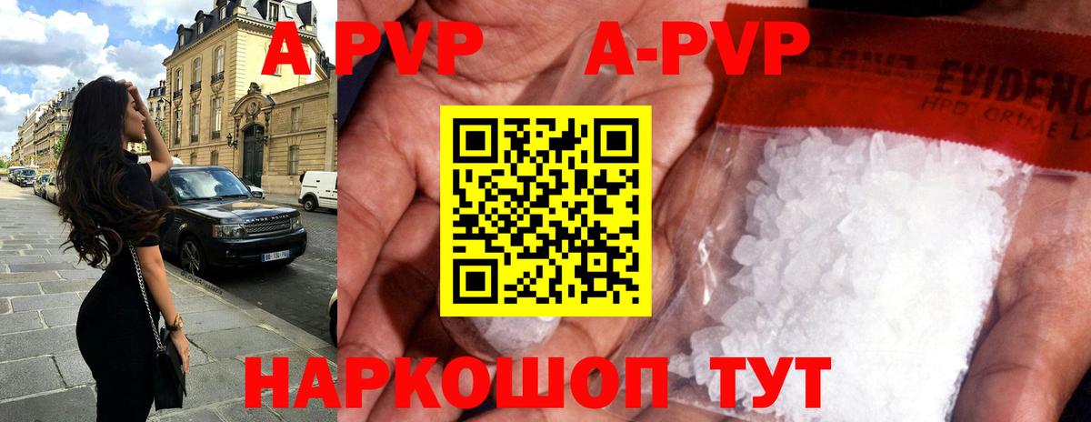 Альфа ПВП СК Гатчина
