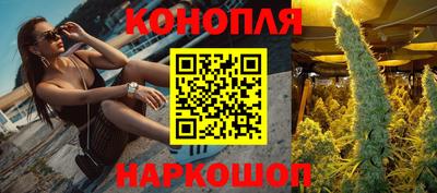 дмт Малгобек