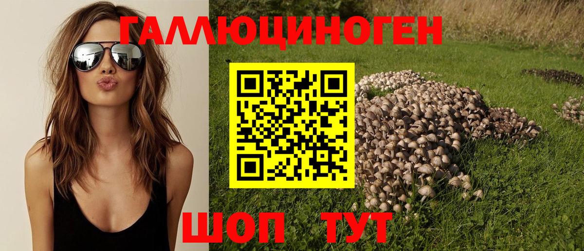 Псилоцибиновые грибы мицелий Гатчина