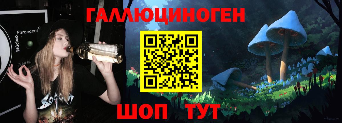 Галлюциногенные грибы MAGIC MUSHROOMS  Вход с VPN  Гатчина  магазин  наркотиков  Галлюциногенные грибы прущие грибы 